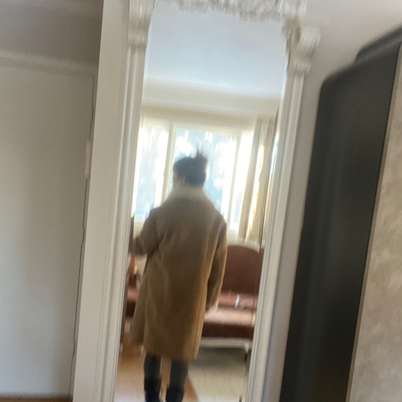 Zara Tan Shearling Coat - Picture 6 of 17